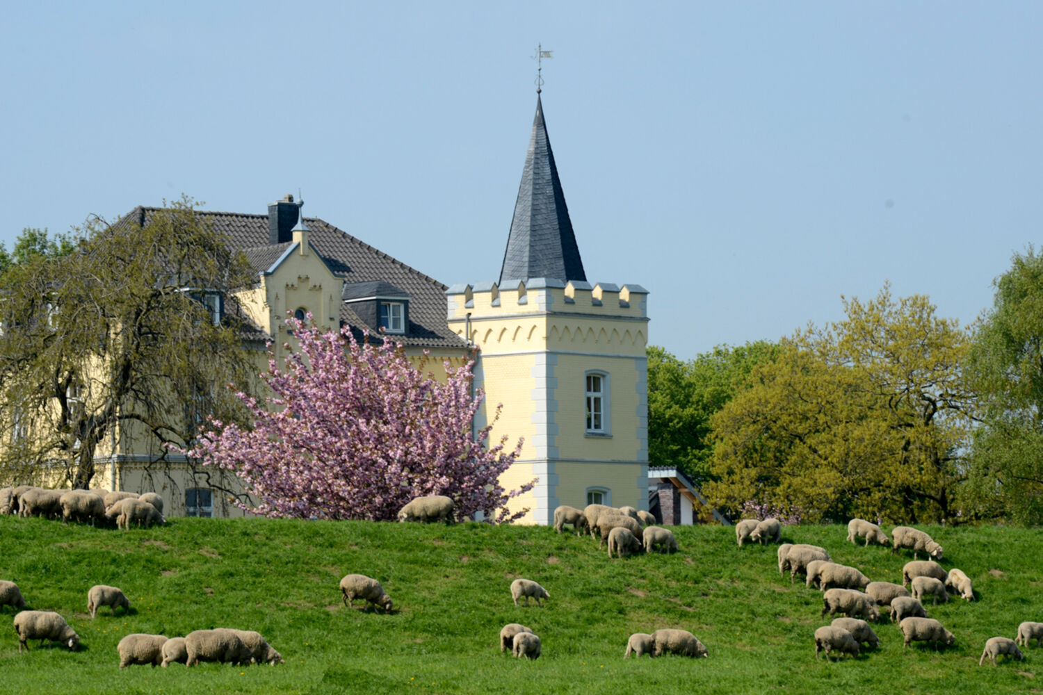 Kalkar und Grieth am Rhein Tourismus